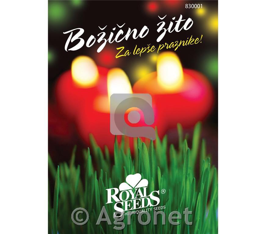 Božično žito 80g