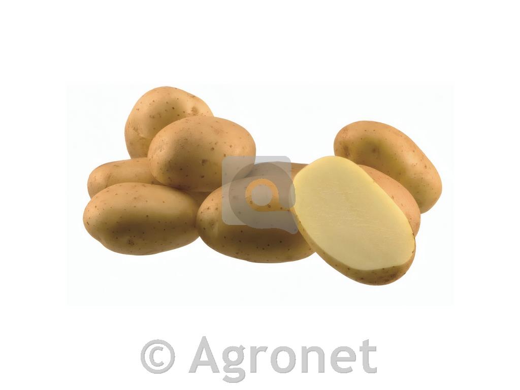 KROMPIR ARROW E 28/35 25 KG