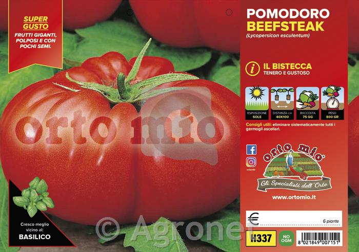 Paradižnik orjaški Beefsteak F1, 6 kos