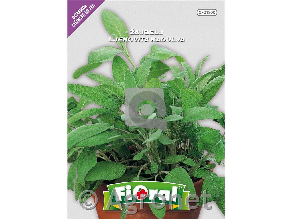 Žajbelj (Salvia officinale), 1 g