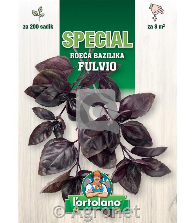 Bazilika rdeča Fulvio