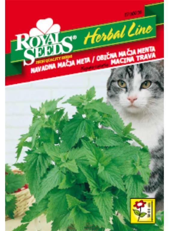 Mačja meta (Nepeta cataria) 1g