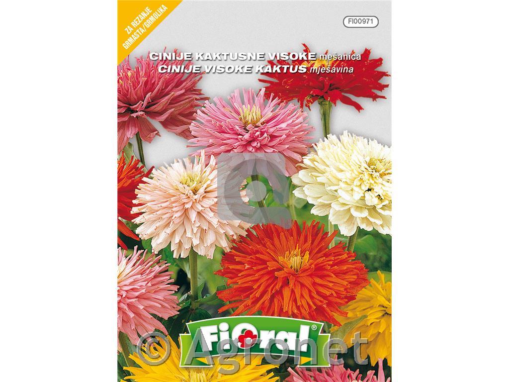 Cinije kaktusne (Zinnia elegans), 1 g