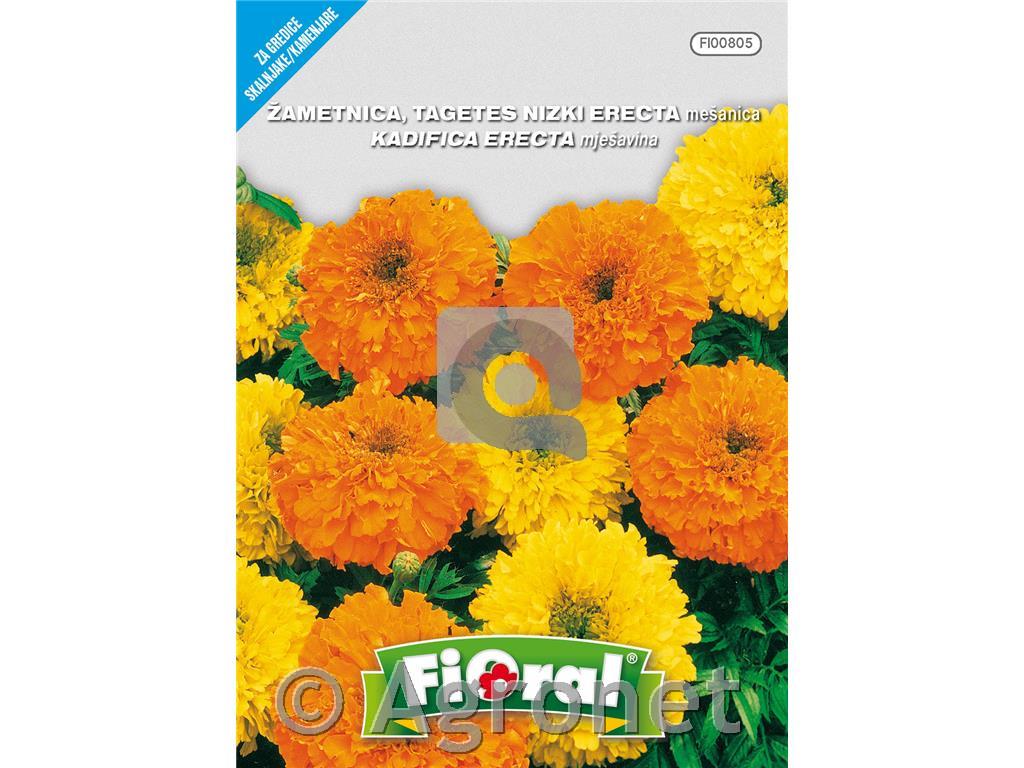 Žametnica nizka mešanica (Tagetes patula), 1 g