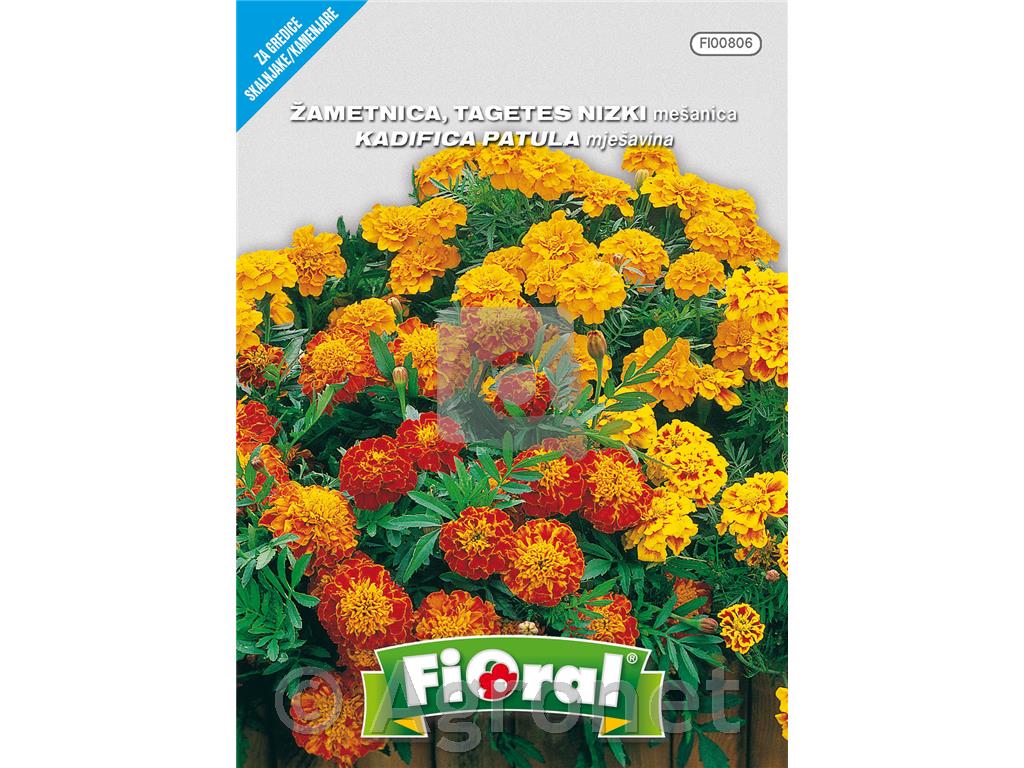 Žametnica nizka rumena (Tagetes erecta), 1 g