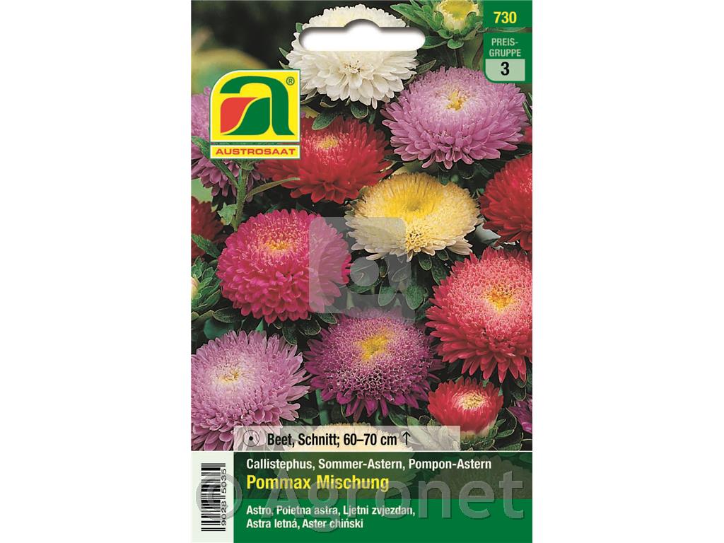 Astra Pommax 5g