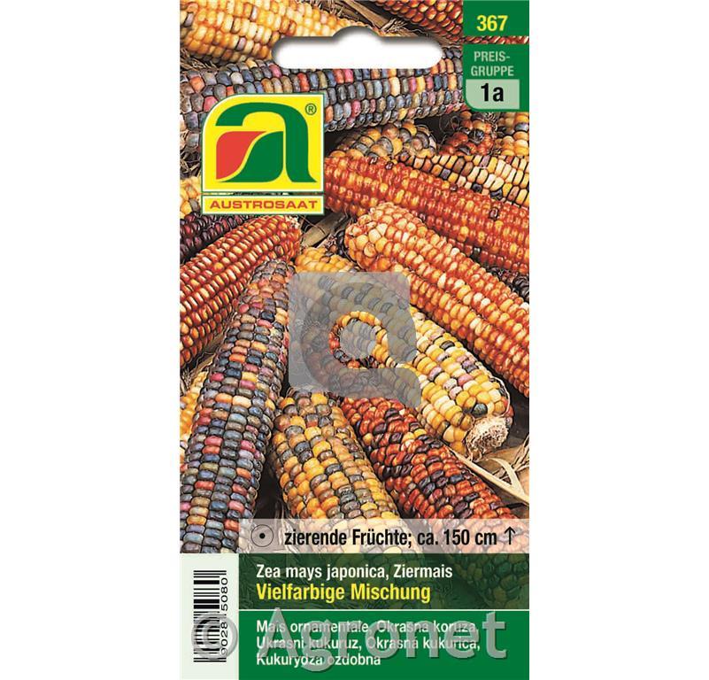 Okrasna koruza, mešanica, enoletna 16g