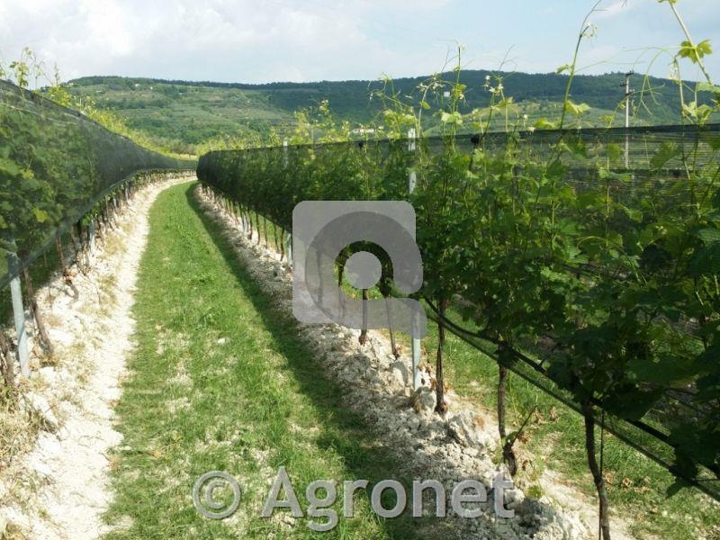 Mreža proti toči, 1,25 m