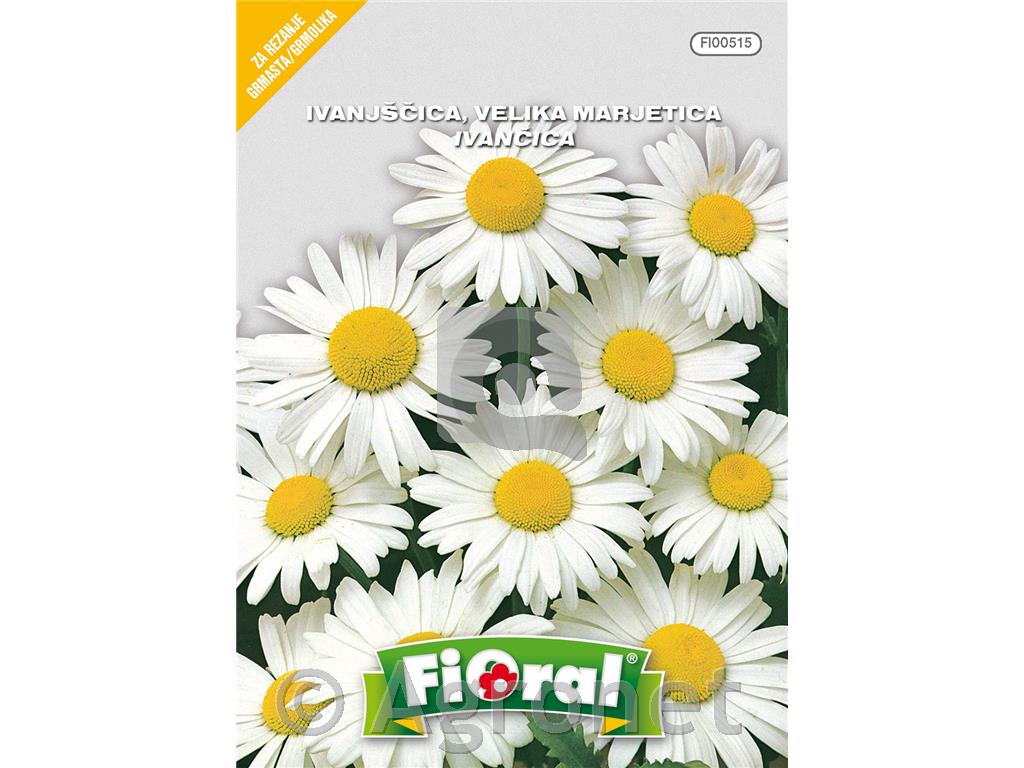 Ivanjščica (Chrysanthemum maximum), 0,5 g