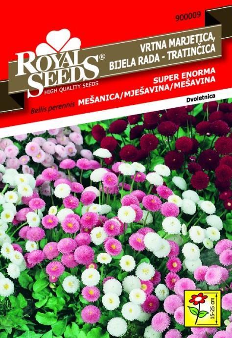 Vrtna marjetica - SUPER ENORMNA 0,30g