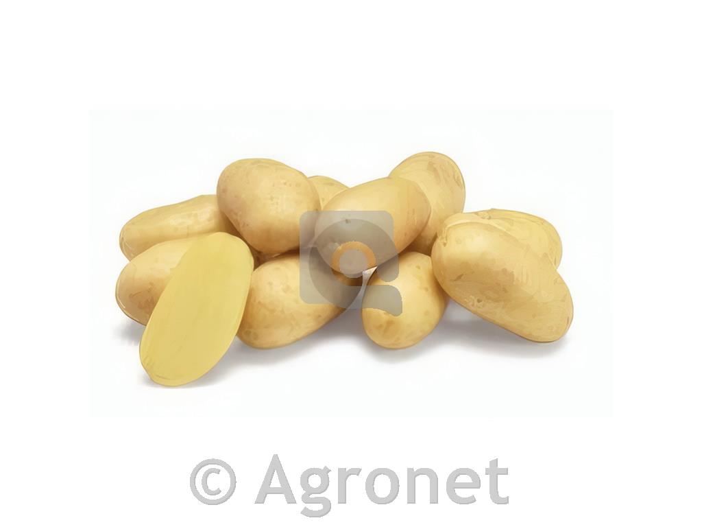 Krompir Kresnik (kifelčar) E 35/50 5 kg