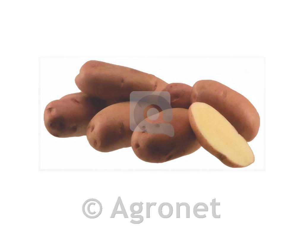 Krompir Desiree E 28/35 25 kg