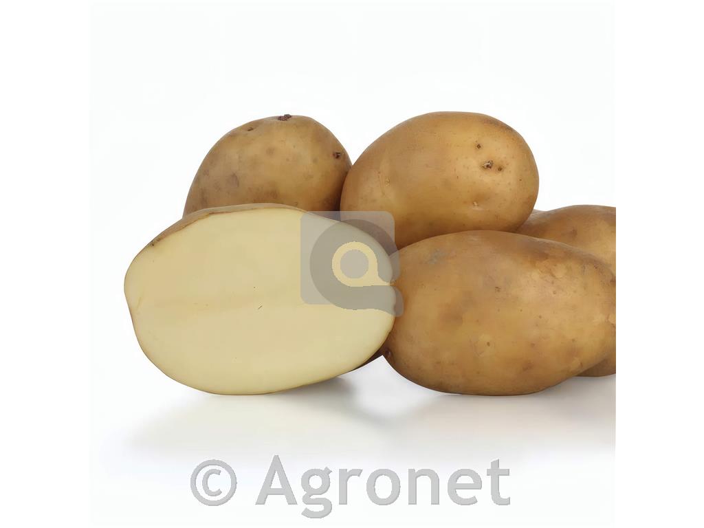 Krompir Kis Sora E 35/55 5 kg