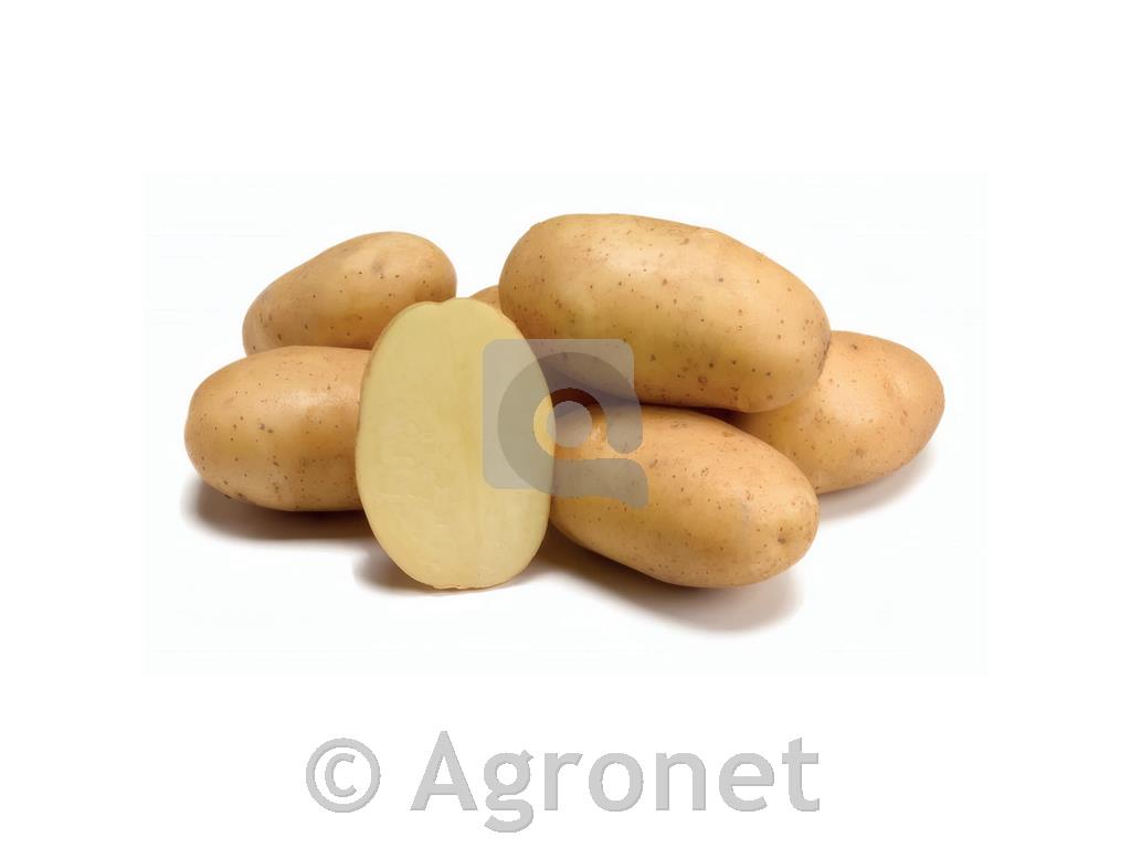 Krompir Ranomi A 28/35 25kg