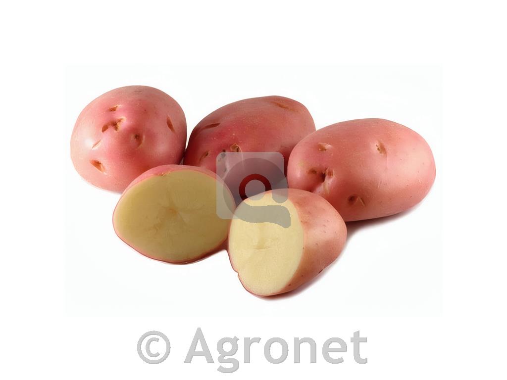 Krompir Romano A 35/45 25kg