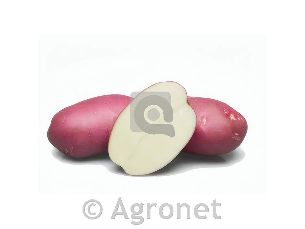 Krompir Mozart A 28/35 2,5 kg