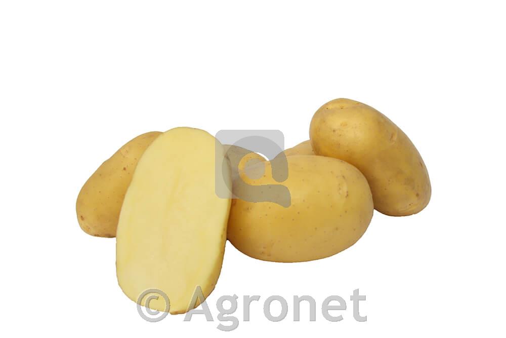 Krompir sorta Ranomi A 35/55 3 kg