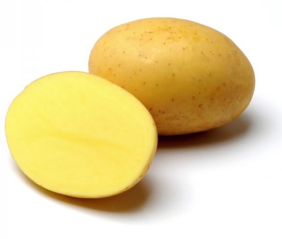 Krompir Elfe A 28/35 25kg