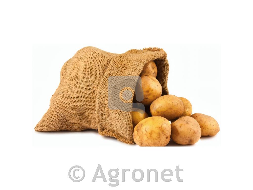 Krompir Catania A 35/55 25 kg