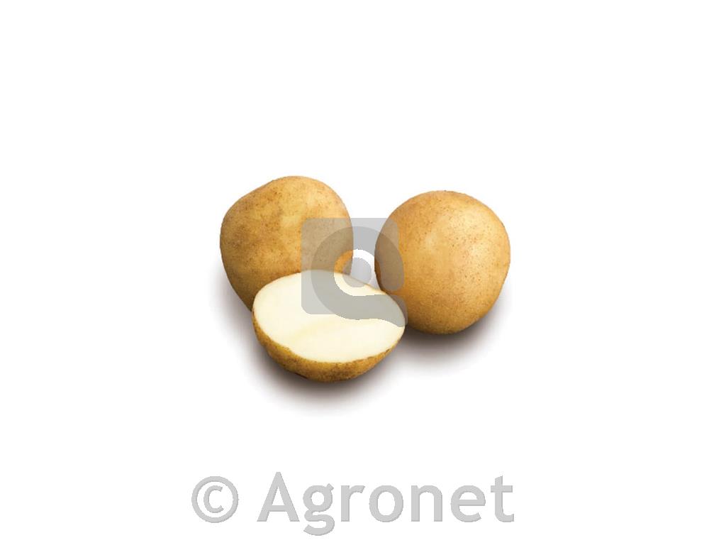 Krompir Desiree A 35/55 10 kg