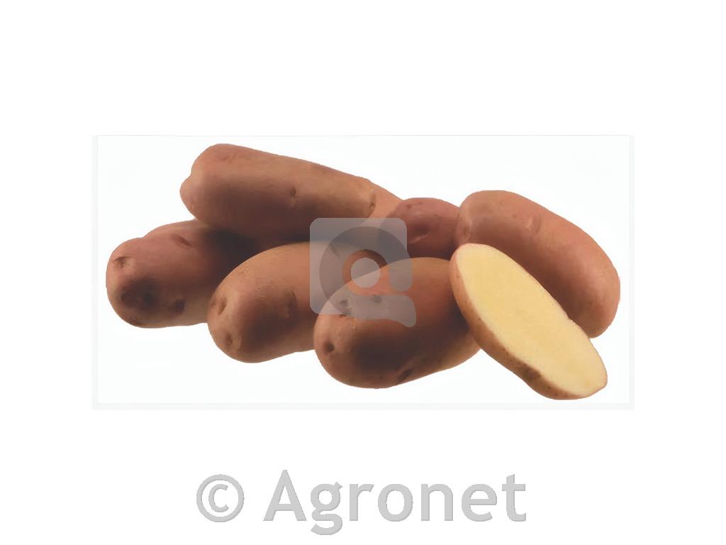 Krompir Desiree E 28/35 5 kg