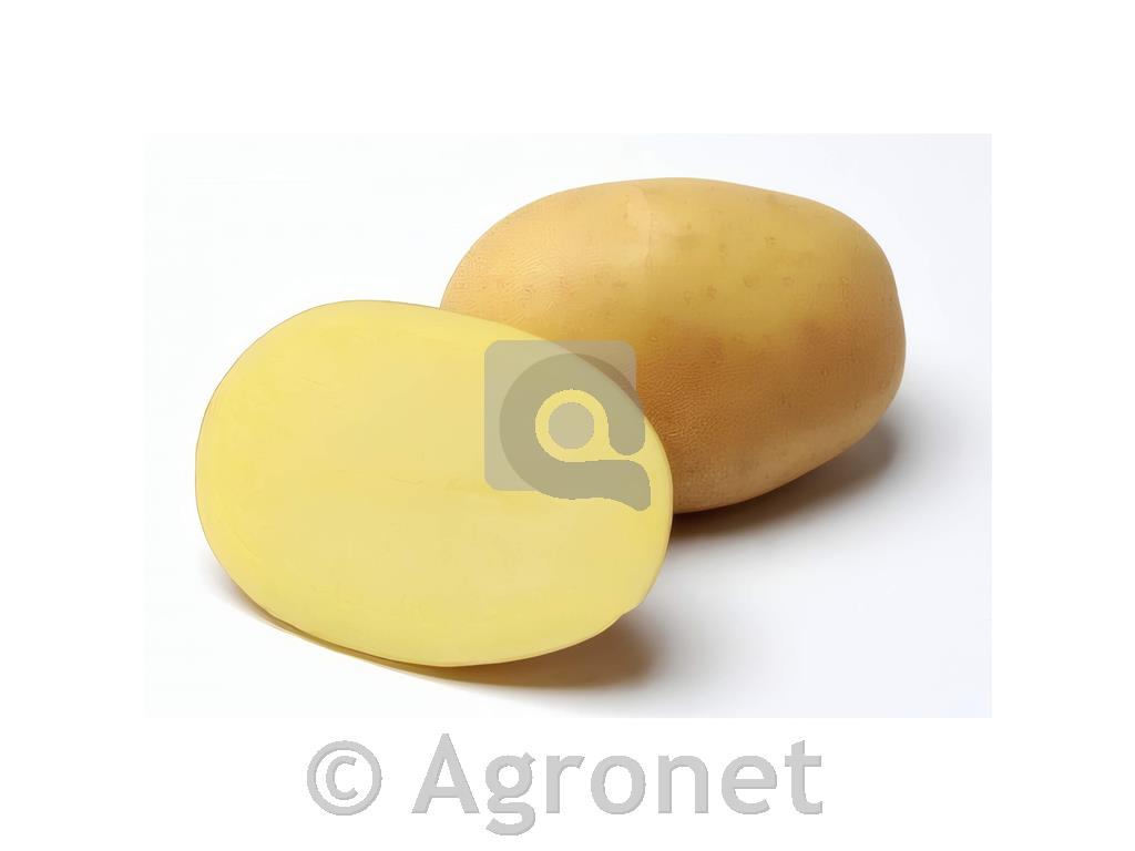 Krompir Jelly A 35/55 25 kg