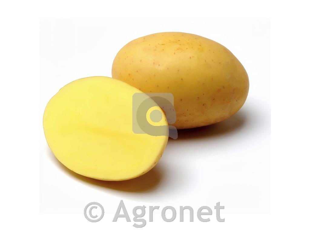 Krompir Elfe A 28/35 3 kg