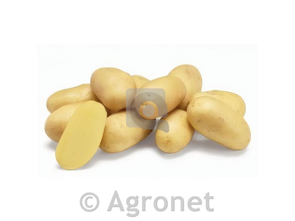 Krompir Kresnik A 25/40 3 kg