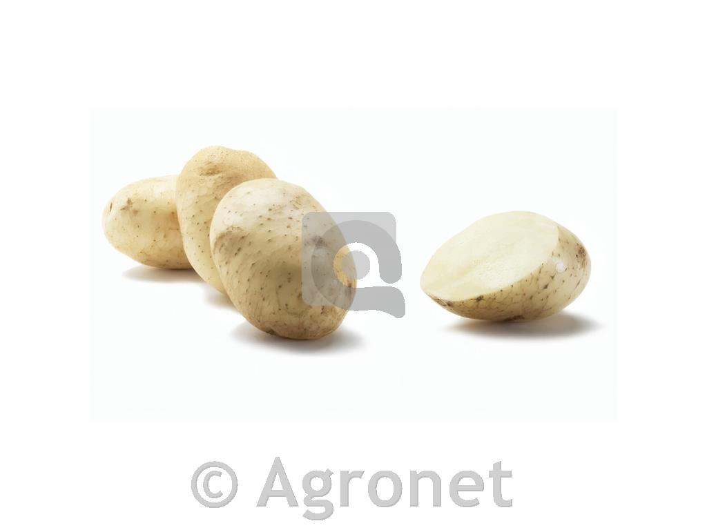 Krompir Artemis A 38/35 - 3 KG