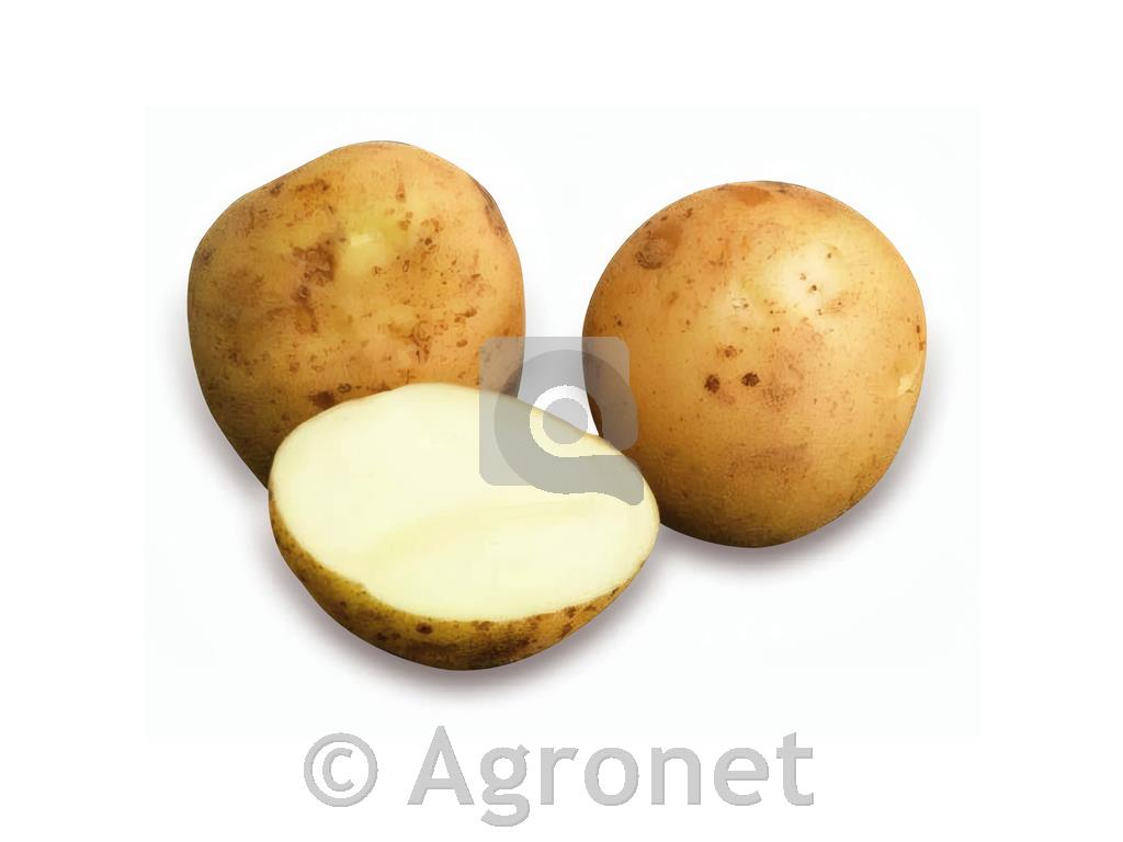 Krompir La Strada SE/E 35/55 5 kg