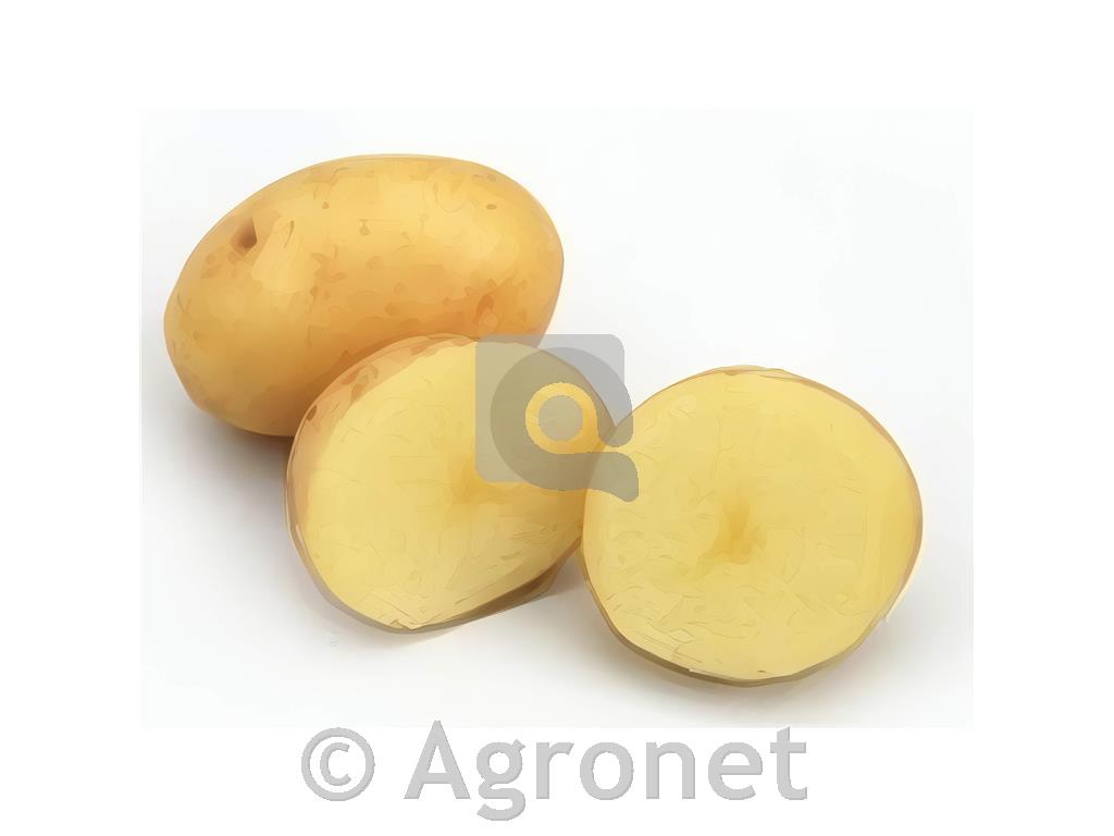 Krompir Maris Bard E 28/35 5 kg