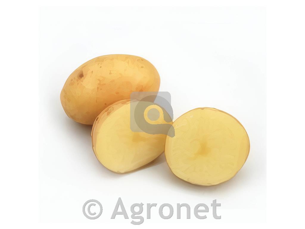 Krompir Colomba A 28/35 5kg