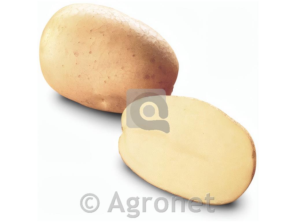 Krompir Adora A 35/50 5kg