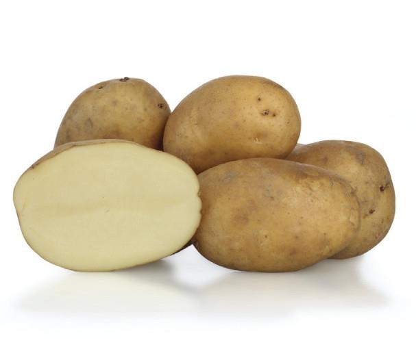 Krompir KIS Sora A 35/55 25kg