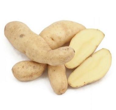 Krompir Colomba A 28/35 2,5 kg