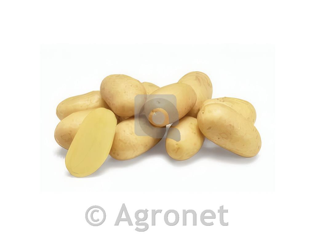 Krompir Kresnik A 35/55 5kg