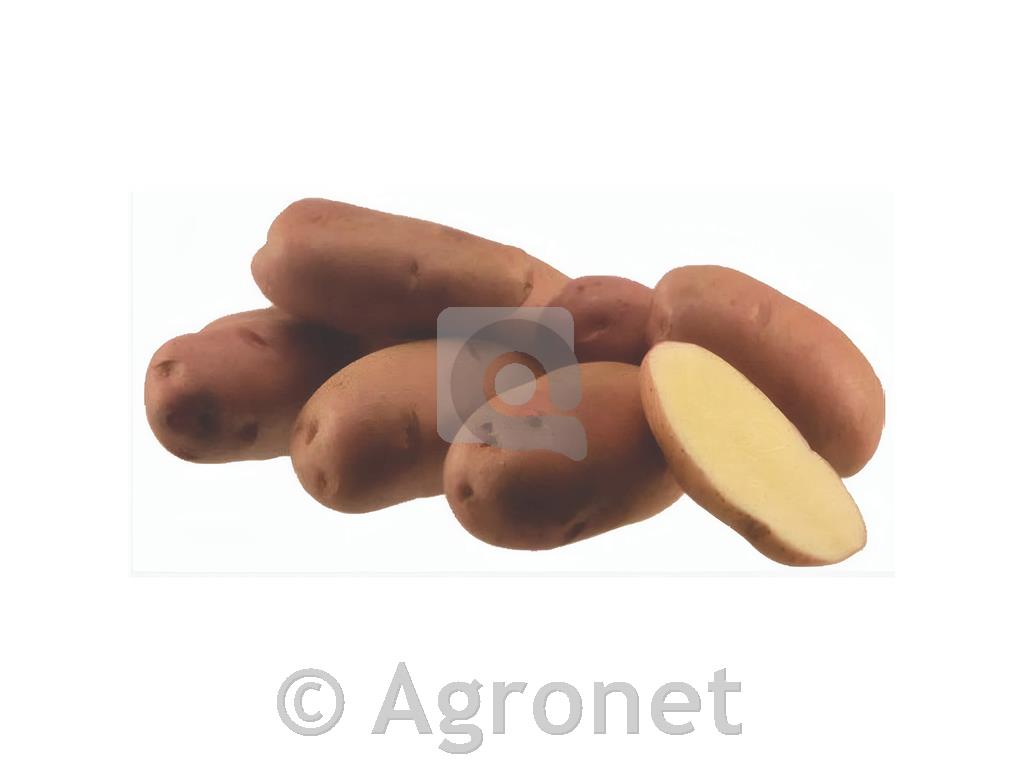 Krompir Desiree A 35/45 25 kg