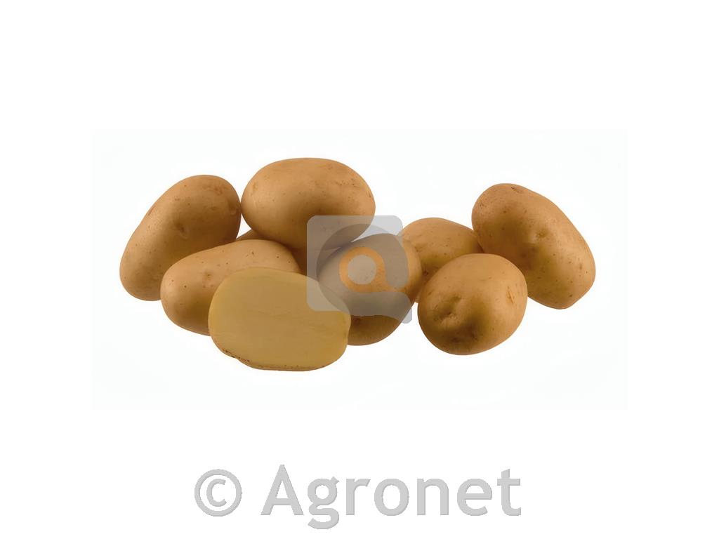Krompir Agita A 28/35 3 kg