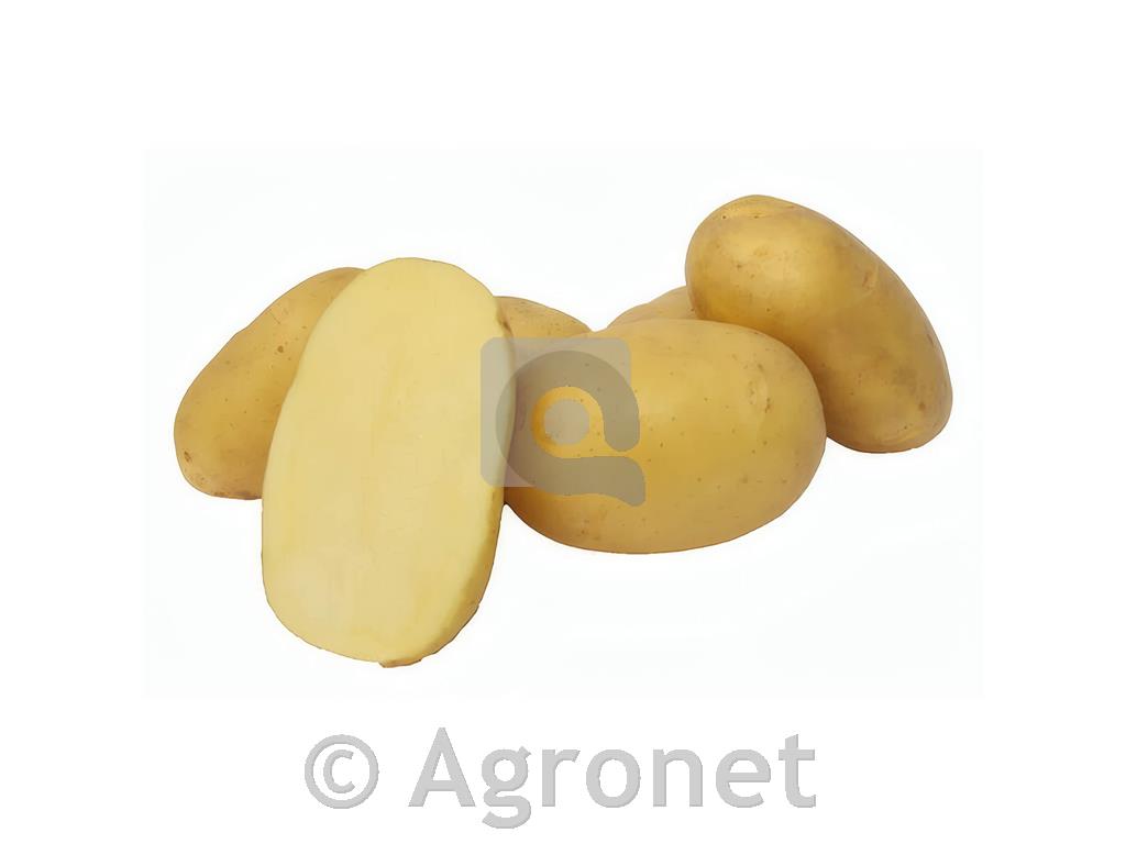Krompir Ranomi A28/35 3kg