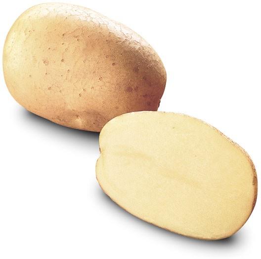 Krompir Ranomi 100 gomoljev