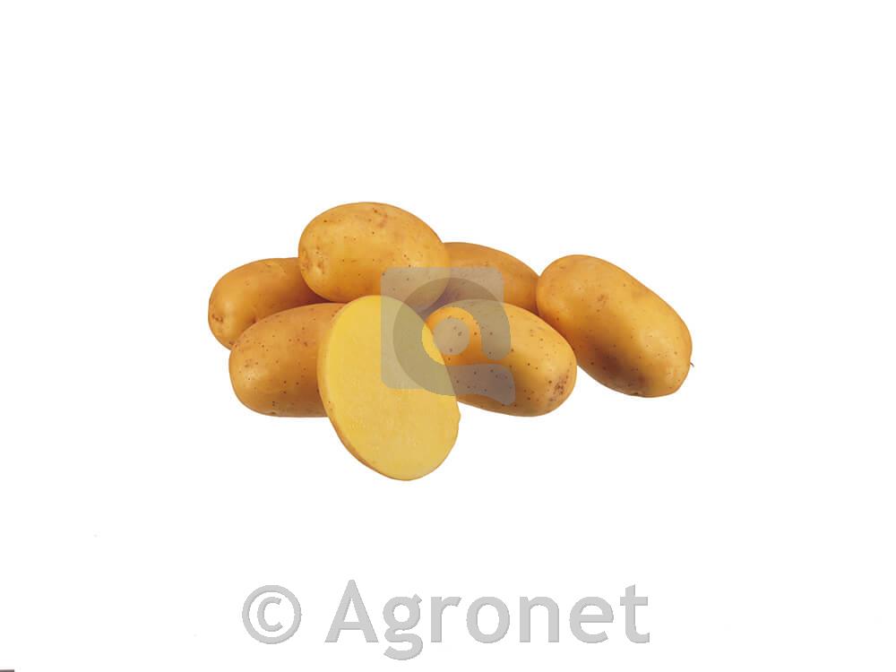 Krompir Constance A35/55 25 kg