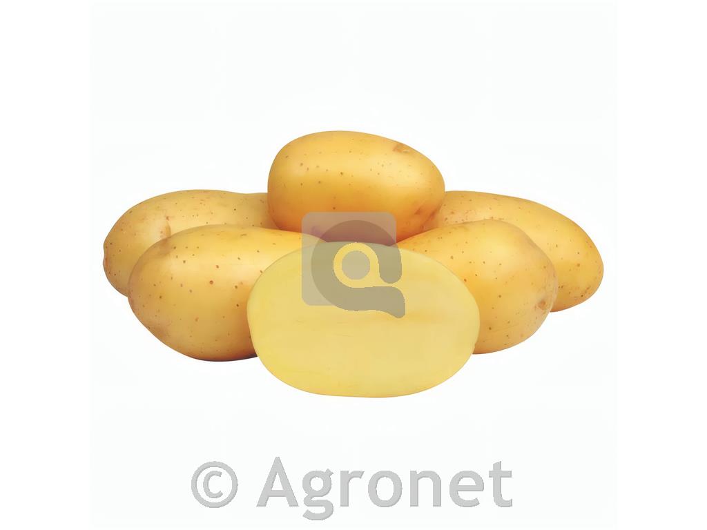 Krompir Marabel A30/45 10 kg