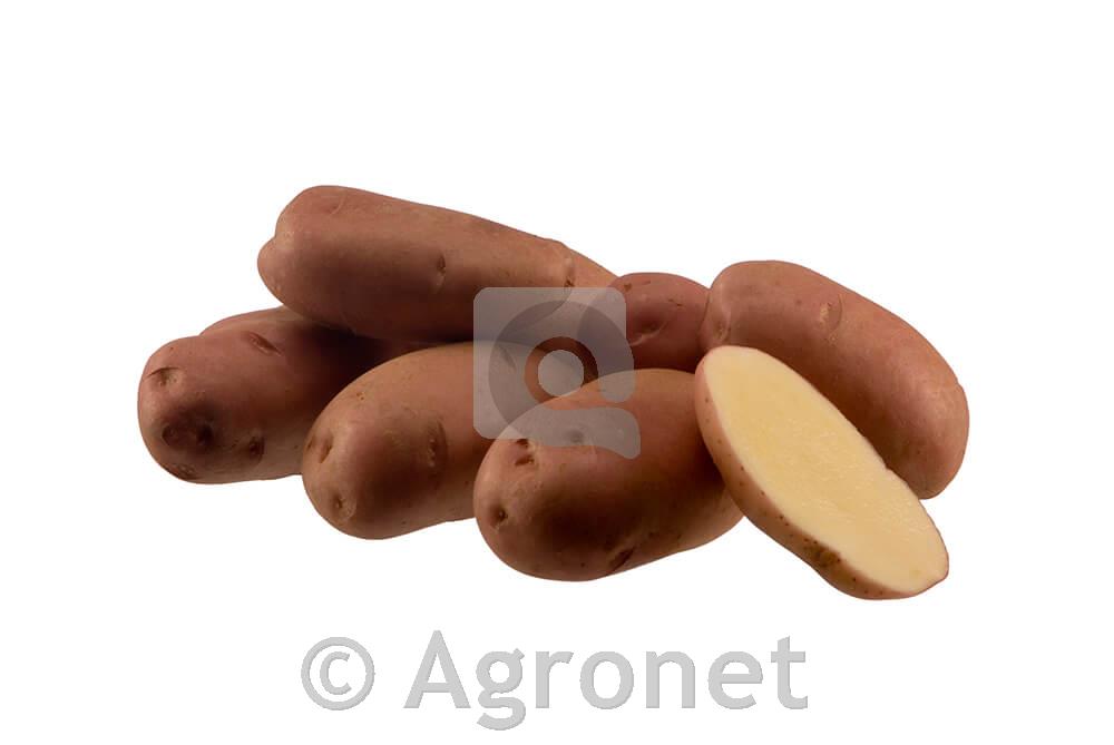 Krompir Desiree A 35/45 10 kg