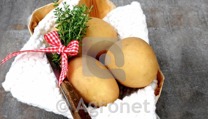 Krompir Otolia A 28/35 25 kg