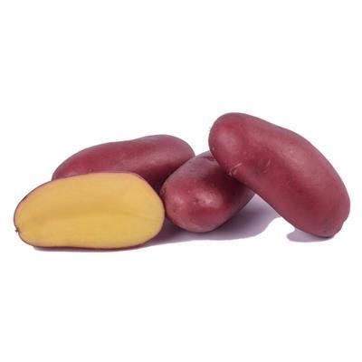 Krompir Franceline (kifelčar) A 30/40 5kg