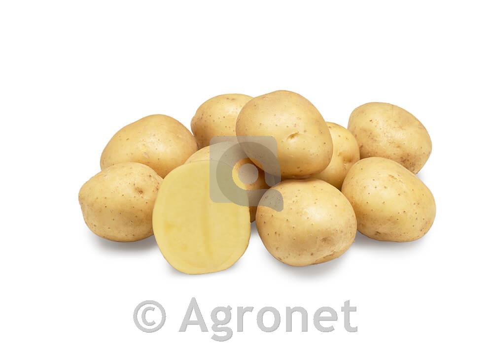 Krompir Twister A 35/55 25 kg