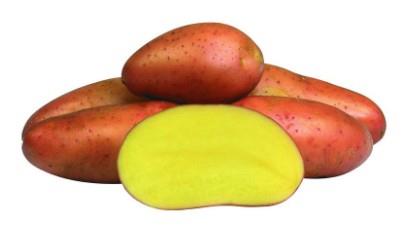 Krompir Red Fantasy 35/60 25 kg