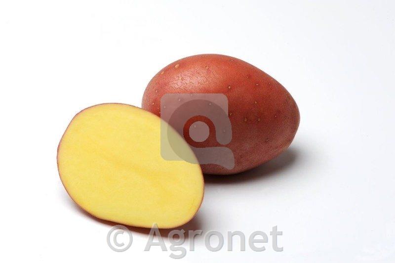 Krompir Red Fantasy A 35/60 10kg