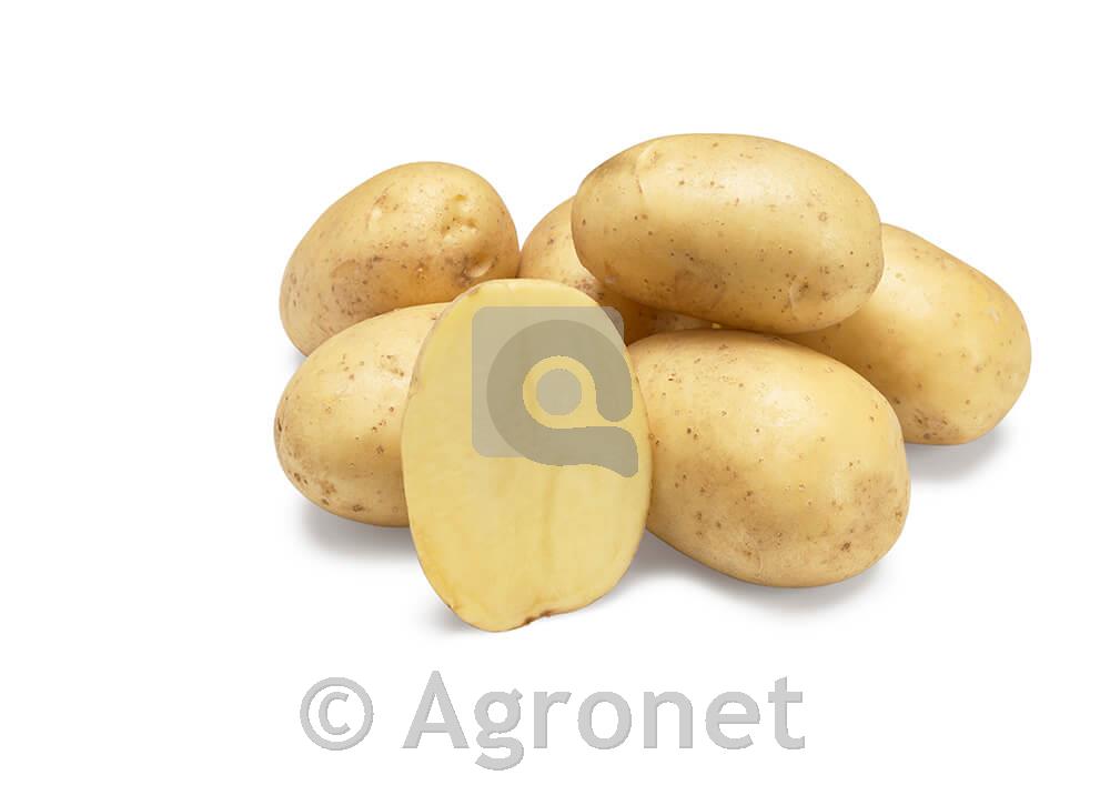 Krompir Spectra 35/55mm 25kg
