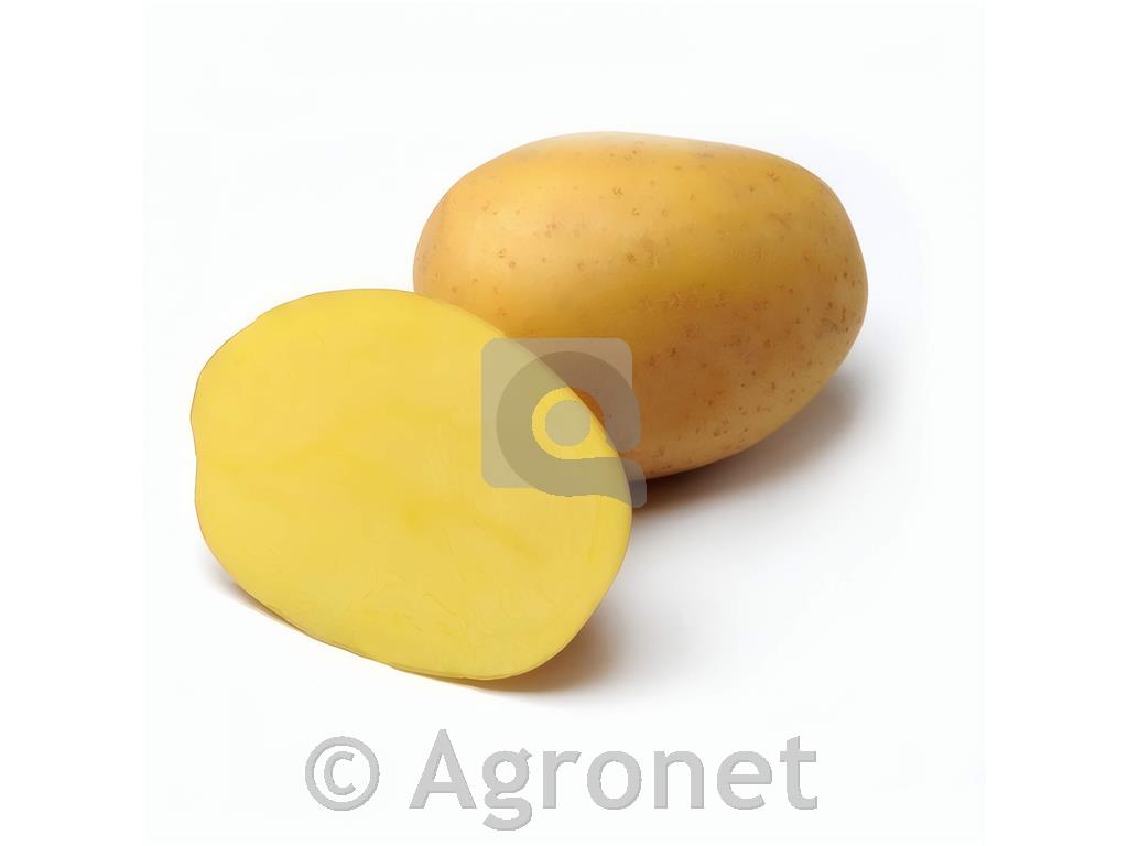 Krompir Anuscha A28/35 2,5kg